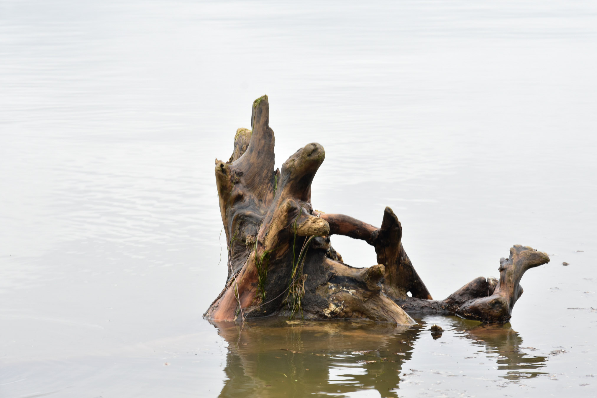 20240602074224 AOA0277